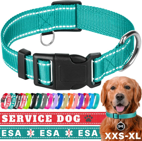 TECEUM Reflective Basic Nylon Pet Collar, Quick Release Buckle, Teal, S, for Small, Medium, Large Dogs, Cats