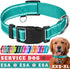 TECEUM Reflective Basic Nylon Pet Collar, Quick Release Buckle, Teal, S, for Small, Medium, Large Dogs, Cats