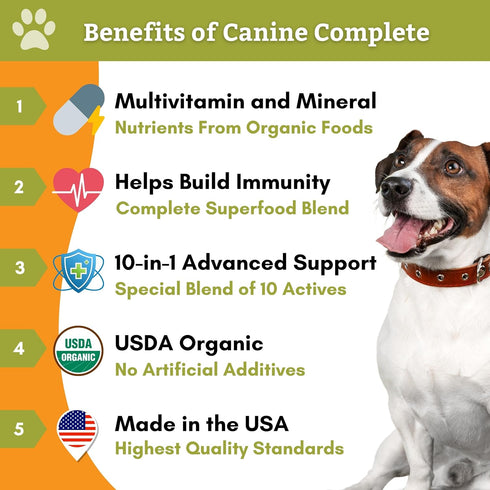 Wholistic Pet Organics Canine Complete, 1lb - Organic Pumpkin Supplement for Dogs, Supports Digestion & Heart Health