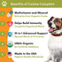 Wholistic Pet Organics Canine Complete, 1lb - Organic Pumpkin Supplement for Dogs, Supports Digestion & Heart Health
