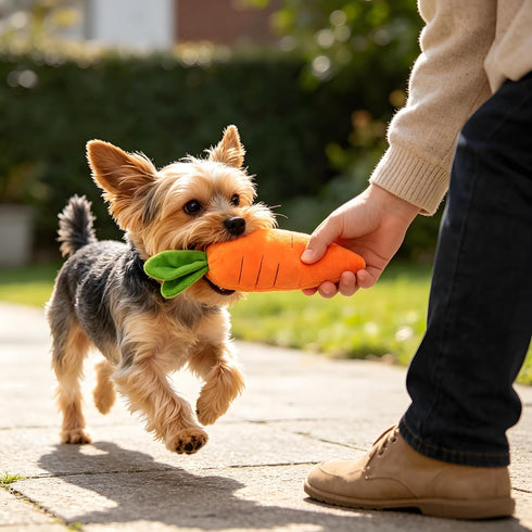 Tiosen Carrot Dog Toy with Squeaker, Bite-Resistant Soft Comfortable Dog Toys Plush Soft Material, for Small Medium