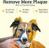 Jasper Dog Toothbrush, 360º Dog Tooth Brushing Kit, Clear 2-Pack for Dog and Cat Teeth Cleaning