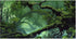 Foggy Forest Terrarium Background, 48x24 inches Polyester Background for Tropical Reptile Habitat