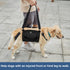 Emergency Dog Carry Sling, Pet Legs Support & Rehabilitation Harness for Senior Dogs with Joint Injuries (M, Black)