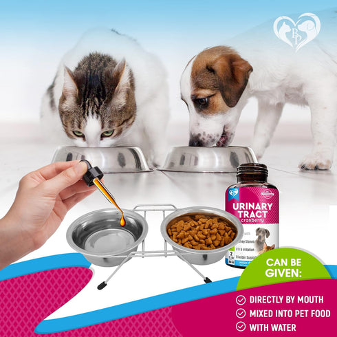 Cat & Dog Urinary Tract Infection Treatment - Natural UTI Medicine, Cranberry-Kidney+Bladder Support Supplement Drops