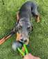 Dog Ball on a Rope Tug Toy - Rubber Fetch Training Reward for Large Dogs, Durable for Indestructible Chewers