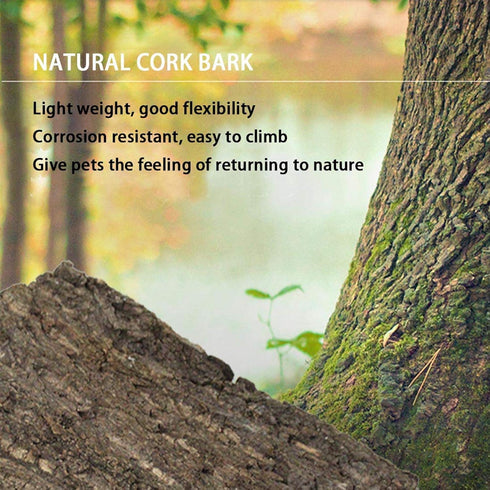 Cork Terrarium Background 15.7x11.8in Natural Cork Large Bark Backdrop for Reptile Habitat Decor (2 PCS)