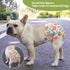 CuteBone Washable Dog Diapers, Female 3 Pack Puppy Training Pants for Docked-Tail Dogs WWD19L