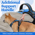 rabbitgoo Dog Harness Medium Sized, No Pull Vest Harness with 3 Buckles, Adjustable Soft Padded with Control Handle,