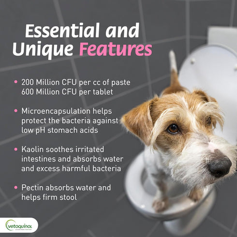 ProPectalin Vetoquinol Pro-Pectalin Oral Paste for Dogs & Cats Chicken Flavor Helps Reduce Occasional Loose Stool