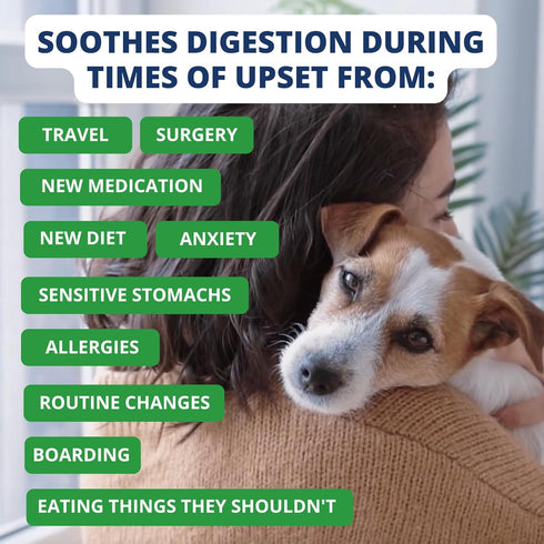 Under the Weather Bland Diet for Dogs, Easy to Digest Natural Freeze Dried 100% Human Grade Meats, 6oz Pack