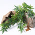 SLSON Reptile Plants Hanging Silk Terrarium Plants with Suction Cup for Bearded Dragons, Lizards, and Tank Decorations