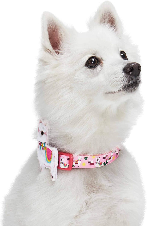 Blueberry Pet Adjustable Dog Collar Happy Llamas with Detachable Décor, Small, Neck 12"-16"