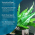 (Bolbitis SubstrateSource Live Plants - El Nio Fern heteroclita) - Midground to Background Epiphytic Rhizome for Low