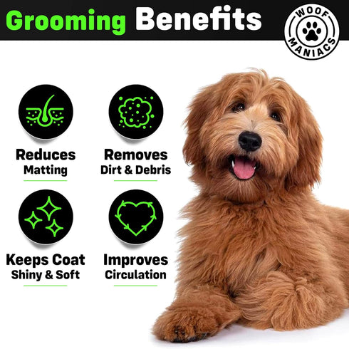 Doodle Grooming Kit with Carrying Case - Includes Slicker Brush, Dematting Comb, Grooming Scissors & Detangling Brush