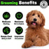 Doodle Grooming Kit with Carrying Case - Includes Slicker Brush, Dematting Comb, Grooming Scissors & Detangling Brush
