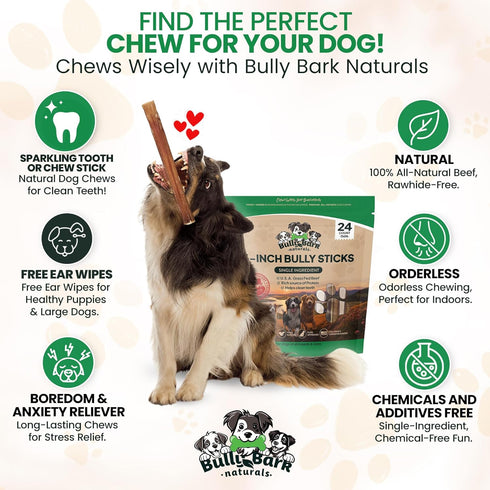 6 24 Count Thin Bully Sticks for Dogs - - Natural, Odor Free, High Protein, Grass-Fed Beef Pizzle Sticks for Dogs