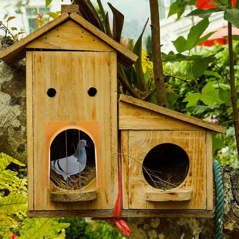 Pigeon Door Barrier: 2pcs Pigeon Entrance Door Traps Entrance Dove Bird Cage Supplies Door Pigeon House Door Racing Supplies for Pets Bird Supply