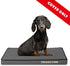 Replacement Outer Cover ONLY for The Dog's Bed, Washable Oxford Fabric, Small 28” x 19” x 2” (Grey)
