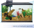 Aqueon AquaPacs Water Clarifier 4 Pack for 10 Gallon Aquariums