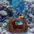 Toyvian Barrel Aquarium Decoration Resin Fish Shrimp Hideout Large Red Fish Tank Shelter Hiding Cave Freshwater Betta