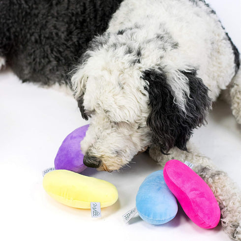 Set 4 Midlee Jelly Bean Easter Dog Toy- of (Large)
