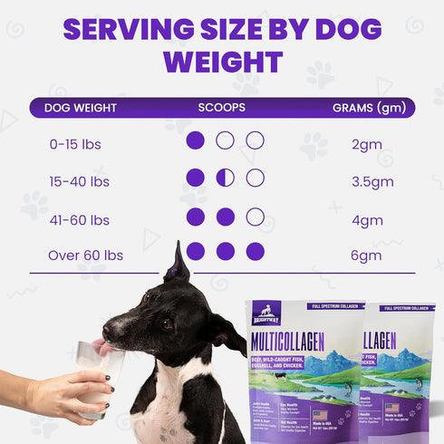 Multi-Collagen Peptide Daily Liquid Collagen for Dogs, Joint Supplement for Arthritis and Skin Health