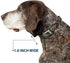 Buckle-Down Kawaii Groot Dog Collar - 2-Poses/Guardians Badge Browns/Green, 1.5" Wide, Fits 18-32" Neck, Large