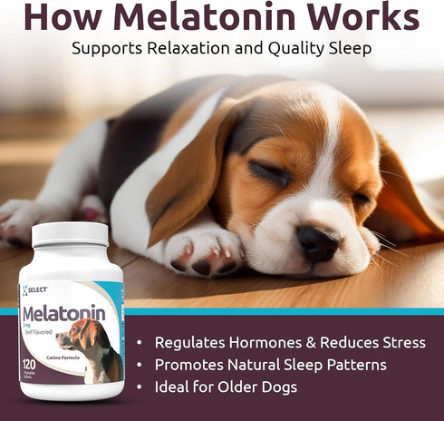 K9 Select Melatonin for Dogs, Composure Dog Calming Chews, 3 mg, 120 Beef Flavored Chewable Tablets