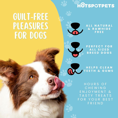 hotspot pets All-Natural Cow Ears Dog Chews - Long-Lasting Single Ingredient Treat for Healthy Teeth & Gums, Perfect