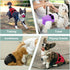 (Pack 3) Female Dog Diapers - Reusable Diapers for Doggie in Heat - Highly Absorbent for Pet Incontinence