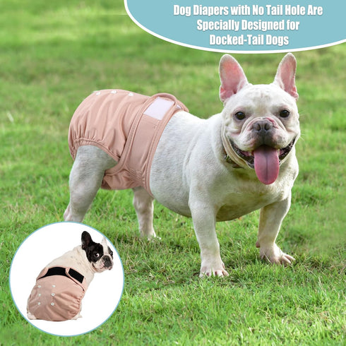 wegreeco Frenchie Dog Diapers Female No Tail Hole, Washable Pet French Puppy Bulldog Diapers Female for Period Heat