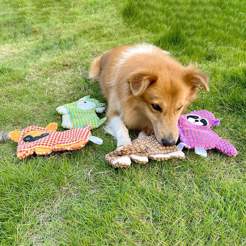 AZSSMUK Cute No Stuffing Dog Toy for Small Medium Breeds, Fun Indoor Chew and Play (4 Pack)