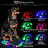 LED Dog Leash with 12 Lighting Modes, 4 Ft Rechargeable Lighted Leash for Night Walking Safety for All Dogs