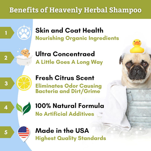 Wholistic Pet Organics Pet Shampoo Concentrate: Heavenly Herbal Organic Dog Shampoo and Conditioner - All Natural Puppy and Cat Shampoo for Dry, Itchy Skin, Allergies, Dandruff
