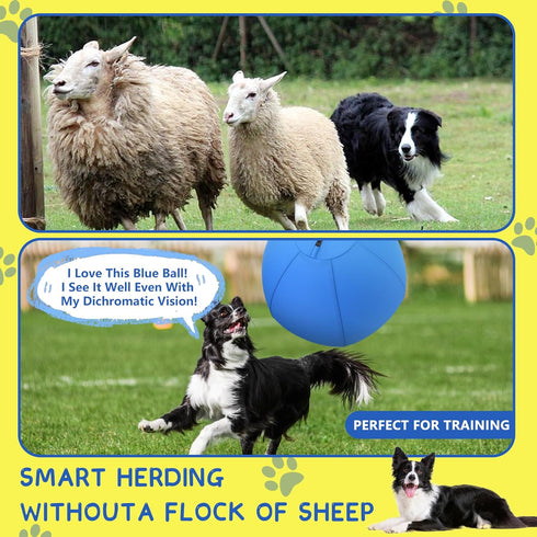 18" CP0408 Herding Ball for Dogs and Horses - Dog Herding Ball for Australian Shepherd Collie, Jolly Ball for Dogs