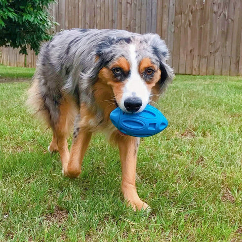 EASTBLUE Squeaky Dog Toys for Aggressive Chewers, Rubber Puppy Chew Ball with Squeaker, Durable Pet Toy