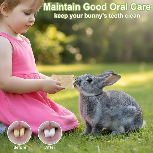 Qianyu 4 Chinchilla PCS Rabbit Chew Toys Natural Loofah Bunny Toys Pet Enrichment Accessories Bunny Teeth Grinding Toy