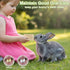Qianyu 4 Chinchilla PCS Rabbit Chew Toys Natural Loofah Bunny Toys Pet Enrichment Accessories Bunny Teeth Grinding Toy