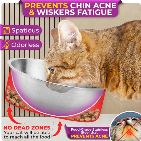 Elevated Cat Bowls, Raised Cat Bowls for Indoor Cats, Cat Bowls Elevated, Stainless Steel Cat Bowls, Cat Dishes for Food and Water, Tilted Cat Food Bowls, Cat Feeding Station, Raised Cat Food Bowls