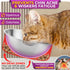 Elevated Cat Bowls, Raised Cat Bowls for Indoor Cats, Cat Bowls Elevated, Stainless Steel Cat Bowls, Cat Dishes for Food and Water, Tilted Cat Food Bowls, Cat Feeding Station, Raised Cat Food Bowls
