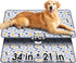 Hompet Washable Pee Pads for Dogs, 34"x21", 2-Pack Thick Heavy Absorbency Reusable