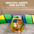 5-Way Genius Cat Tunnels for Indoor Cats - Large Customizable Tunnel Tube System with Hanging Toys, Storage Bag