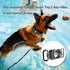 Waterproof Dog Collar Holder for Samsung Galaxy SmartTag2, Silicone GPS Tracker Loop Holder, Anti-Lost Case (Black)