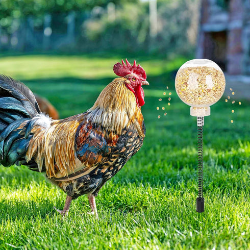 2 Pack CYG&CL Chicken Peck Toy, Chick Slow Feeder Ball & Enrichment Toy, Boredom Toys for Your Flock, Chicken Coop Toys
