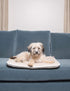 Dog Gone Smart Sleeper Cushion, Large, Berry