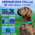 TECEUM Reflective Basic Nylon Pet Collar, Quick Release Buckle, Teal, S, for Small, Medium, Large Dogs, Cats