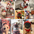 KYEESE Dog Christmas Sweater Hoodie with Leash Hole, Reindeer Snowflake Red Knitwear for Small Dogs, M
