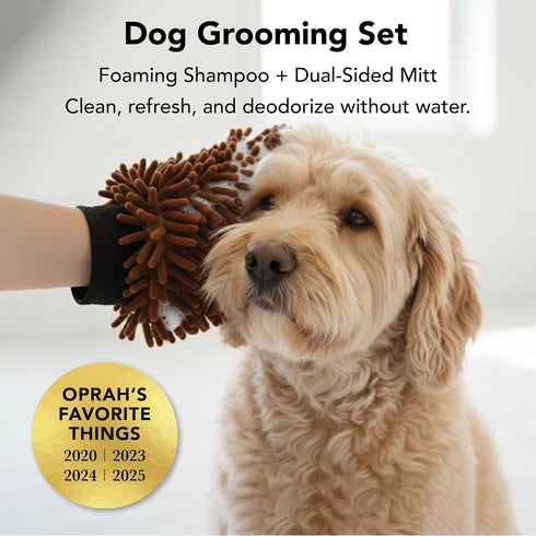 Pride and Groom THE MITT KIT: A Waterless Bath for Dogs - Foaming Dry Shampoo and a Pet Sensitive Glove for a Rinse