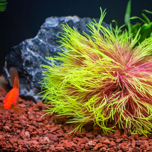 Fish Tank Decorations, Plastic Artificial Aquarium Plants Décor (Pink Yellow)